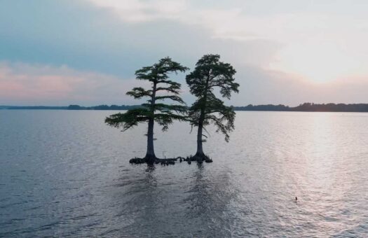 Two Trees stand in the James River at Sunset at Governor's Landing