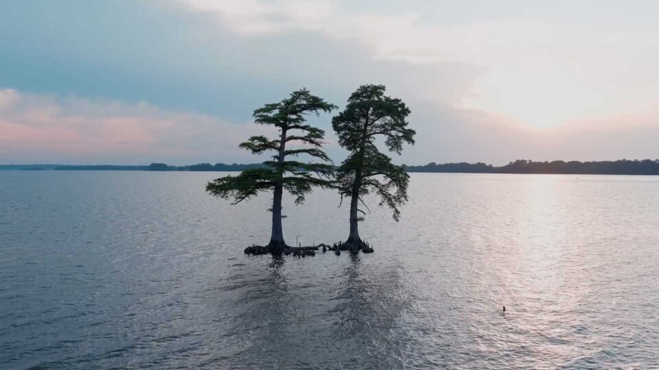 Two Trees stand in the James River at Sunset at Governor's Landing