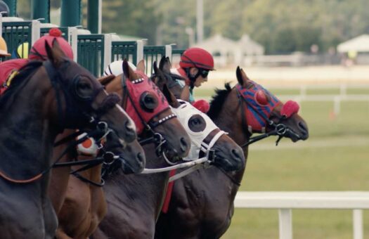 Horses burst from the starting gate at Colonial Downs