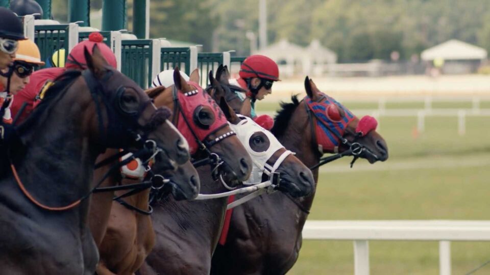 Horses burst from the starting gate at Colonial Downs